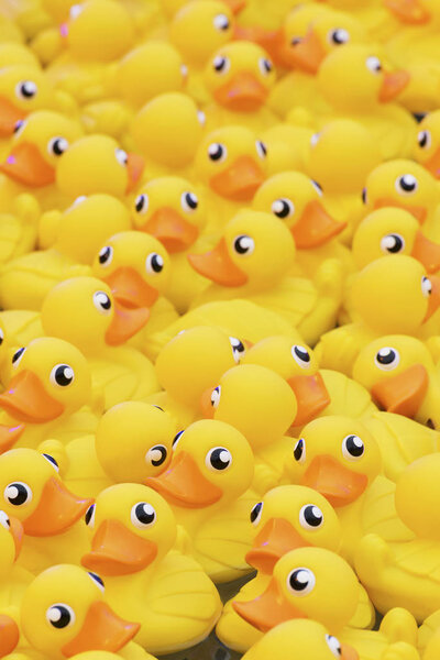 Желтая игрушечная утка плавающая в бассейне
