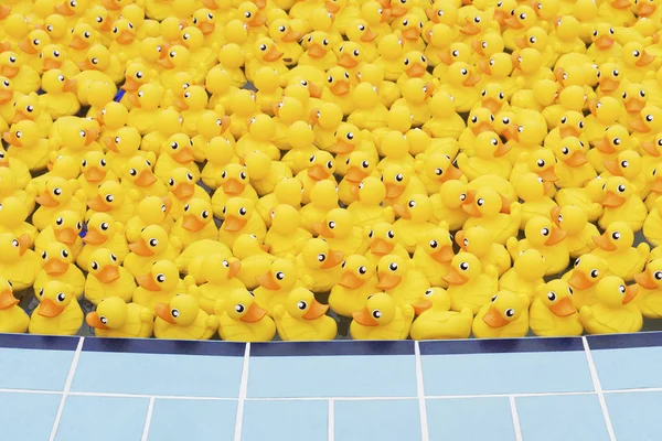 Yellow toy duck floating in the pool — Stock Photo, Image