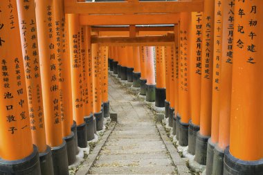 Kyoto, Japonya - 08 Nisan 2016: Kırmızı Torii gates Fushimi Inar de