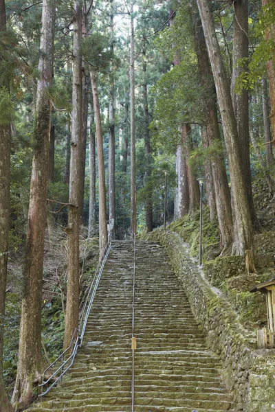 "Кумано Кодо "тропа в горе Нахисан (Старая дорога паломничества в — стоковое фото