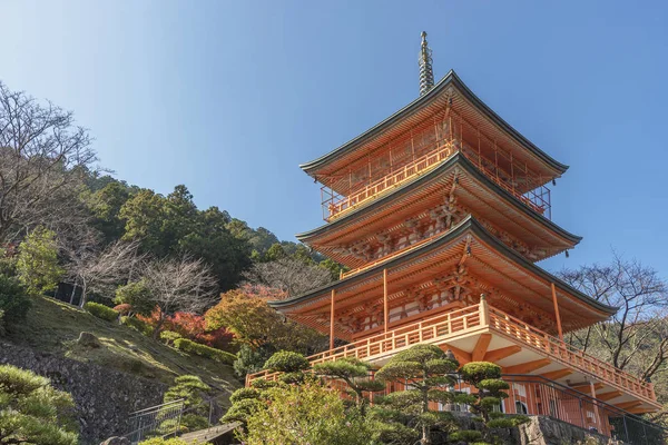 Vista panorámica del Templo Seiganto-ji en Nachi Katsuura, Wakayama, J — Foto de Stock
