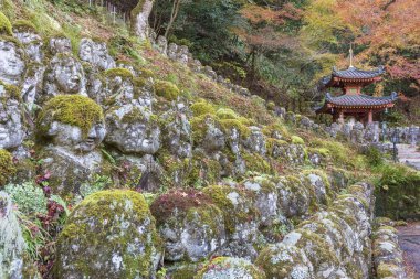 Bahçedeki Pavilion ve taş Buda heykeli, Saga Toriimoto, Arashiyama, Kyoto, Japonya