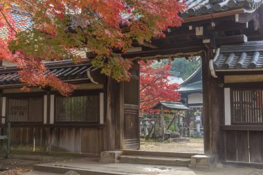 Japonya, Nara 'da sonbahar mevsiminde tarihi bina