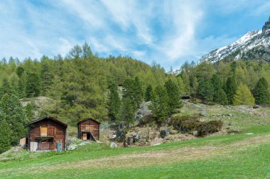 İsviçre 'de Zermatt' ın huzurlu kırsal manzarası