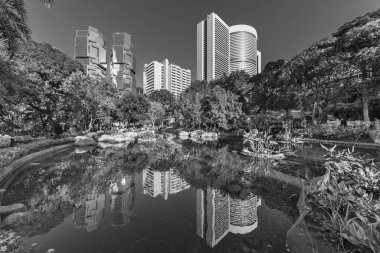 Hong Kong 'un merkez bölgesindeki yüksek katlı ofis binası ve kamu parkı