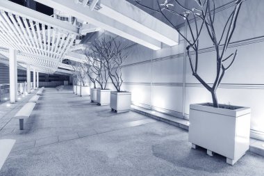 Geceleri modern bahçe.