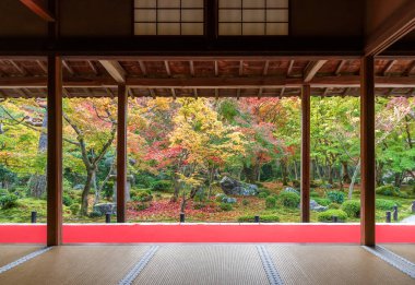 Kyoto, Japonya 'da sonbahar mevsiminde cennet bahçesi
