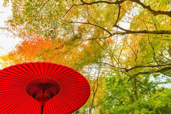 Paraguas Rojo Japonés Bosque Fondo Oriental Natural — Foto de Stock
