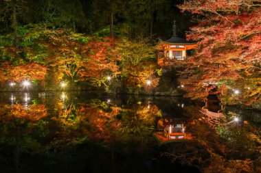 Sonbahar mevsiminde Daigoji tapınağında renkli akçaağaç ağaçları olan Idyllic Japon bahçesi, Kyoto, Japonya
