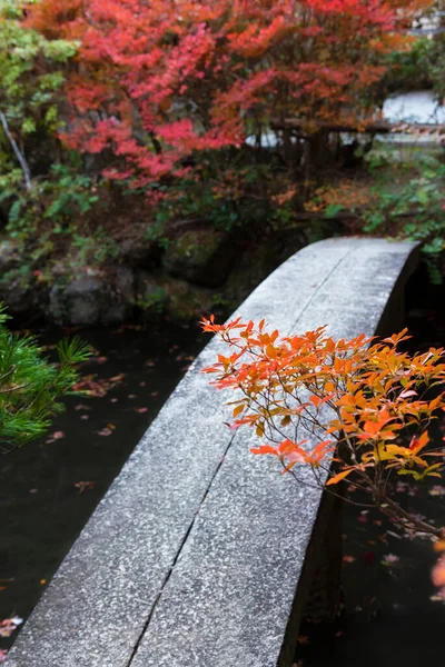 日本の秋の庭の石造りの橋 東洋の自然背景 — ストック写真