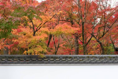 Kyoto, Japonya 'nın sonbahar mevsiminde cennet manzarası