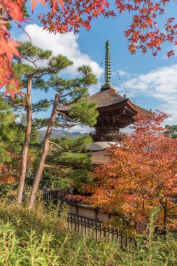 Jojakko-ji Tapınağı, Kyoto, Japonya sonbahar sezonunda
