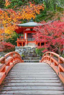 Japonya 'nın Kyoto kentindeki Daigoji Tapınağı' ndaki Japon bahçesinde sonbahar mevsiminde pavyon ve köprü.