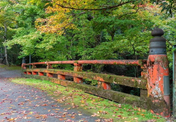 京都の森の中の古い歴史的橋 — ストック写真
