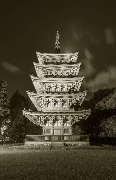 Paisaje Nocturno Pagoda Histórica Templo Daigoji Kyoto Japón — Foto de Stock