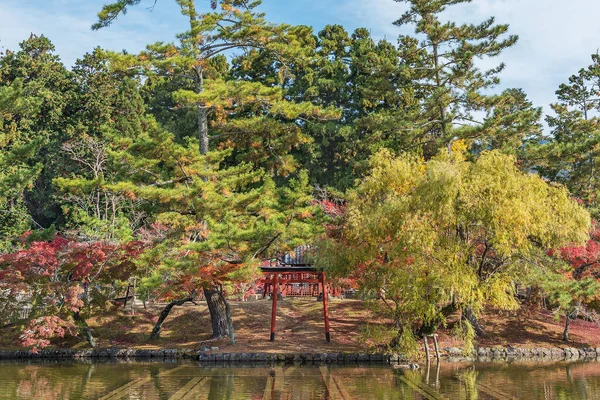 Idyllic Landscape Nara Japan Autumn Season — Stock Photo, Image