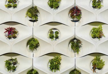 Beton blokları ve dikey bahçesi olan modern mimari duvarı