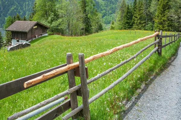 Paysage Idyllique Ferme Suisse — Photo