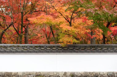 Kyoto, Japonya 'nın sonbahar mevsiminde cennet manzarası