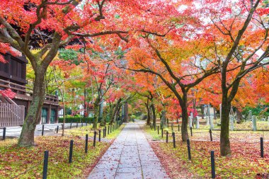 Kyoto, Japonya 'nın sonbahar mevsiminde cennet manzarası