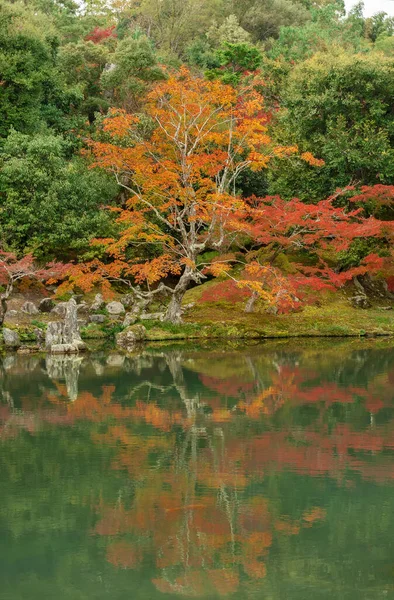 秋の京都嵐山の牧歌的な風景 — ストック写真