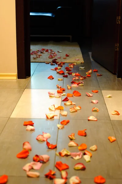 A path of rose petals on the floor leads to the room.