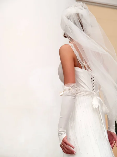 背面からベール ウェディング ドレスの花嫁 — ストック写真