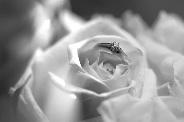 Trouwring Een Rosebud Zwart Wit — Stockfoto