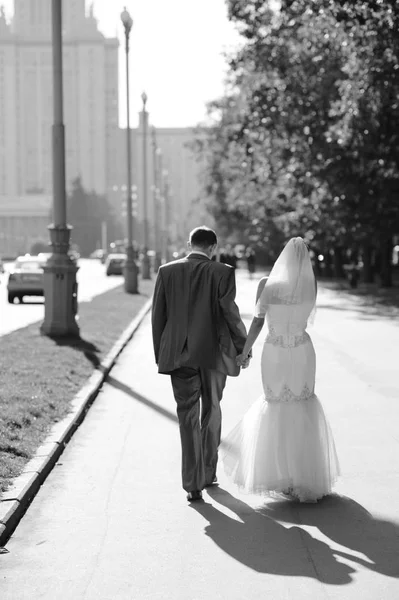 Novia Novio Joven Pareja Caminando Parque Día Boda Verano Blanco — Foto de Stock