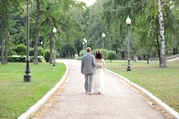 Los Recién Casados Caminan Por Callejón Los Árboles Parque Día — Foto de Stock