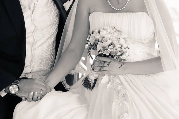 Bruid Bruidegom Handen Houden Tijdens Het Wandelen Het Park Dag — Stockfoto