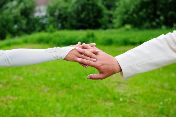 Bride Groom Hold Extended Hands Wedding Summer Day Park — Stock Photo, Image