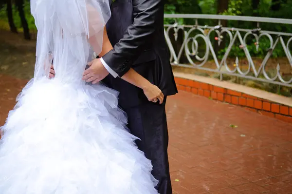 Новобрачные Обнимаются Целуются Парке Свадьба Летом — стоковое фото