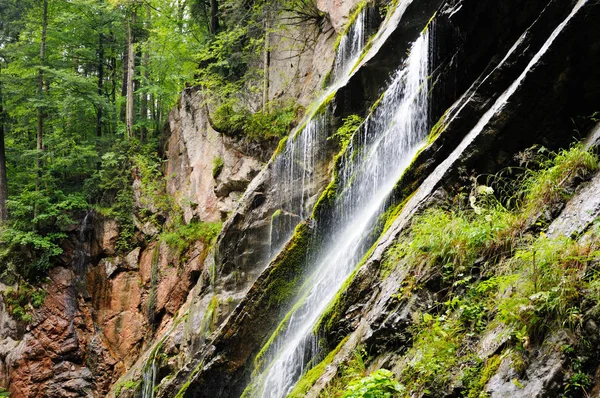 Débit Rapide Eau Dans Les Ruisseaux Montagne Dans Forêt Les — Photo