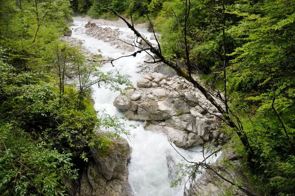 Fluxo Água Rápido Rio Montanha Floresta Pedras Grandes Pequenas Longo — Fotografia de Stock