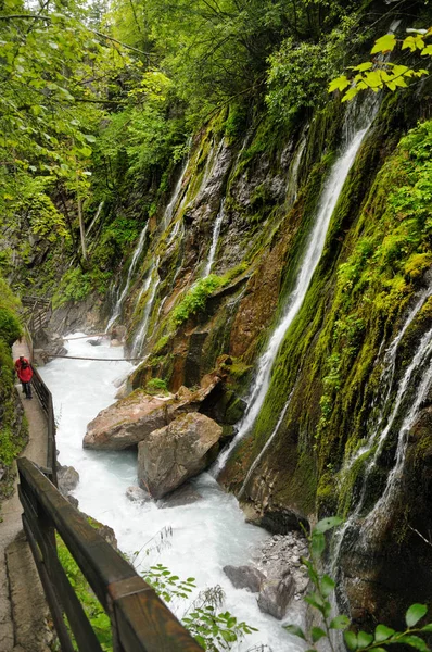 Cours Eau Rapide Dans Rivière Montagne Dans Forêt Rivière Coule — Photo