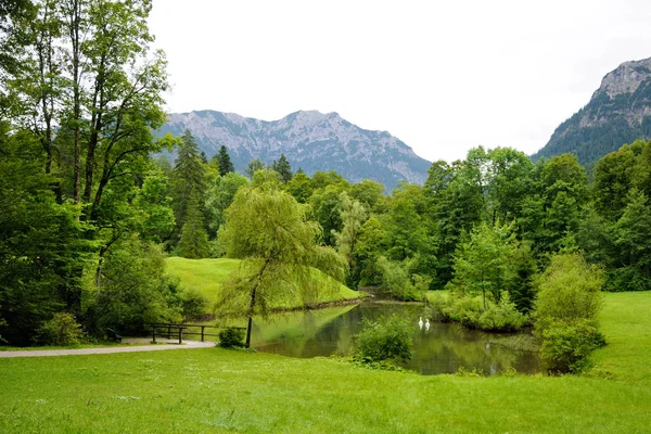 A small lake on a beautiful green lawn. Two white swans in the lake. The trees grow by the lake. Mountains in the background. Summer day.