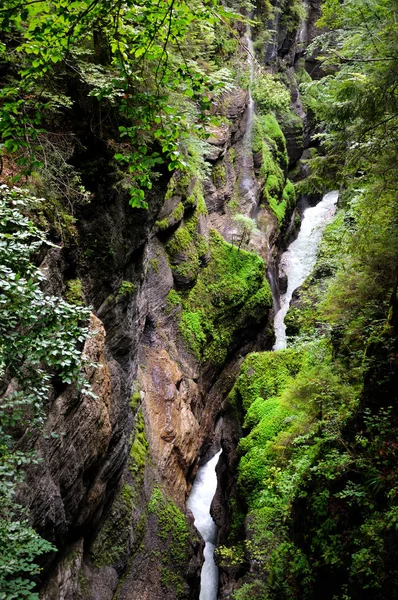Gyors Vízsugarat Erdőben Hegyi Folyó Folyó Folyik Egy Szűk Kanyonon — Stock Fotó