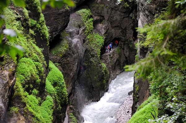 Débit Rapide Eau Dans Une Rivière Montagne Dans Forêt Rivière — Photo