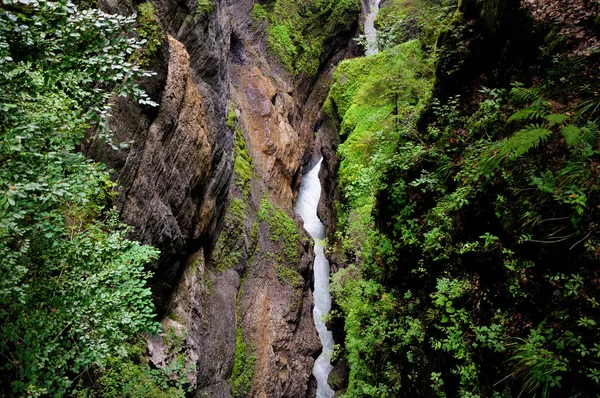 Cours Eau Rapide Dans Rivière Montagne Dans Forêt Rivière Coule — Photo