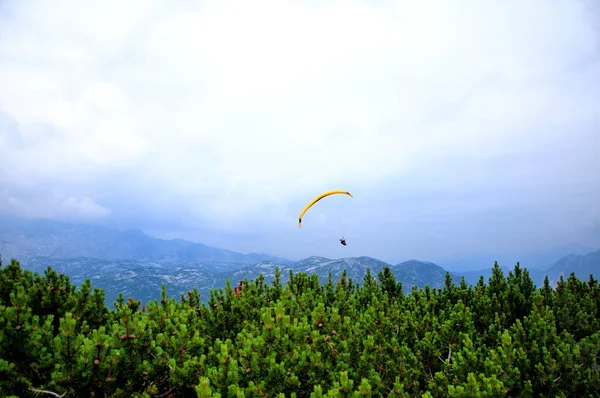 Parapente Volando Sobre Las Montañas Día Verano Árboles Verdes Arbustos — Foto de Stock