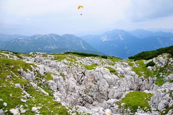 Parapente Volando Sobre Las Montañas Día Verano — Foto de Stock