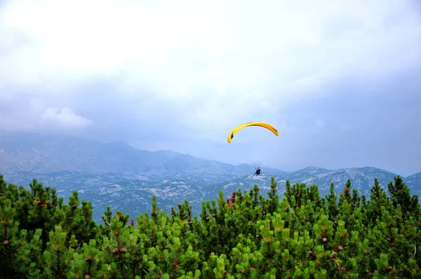 Parapente Volando Sobre Las Montañas Día Verano Árboles Verdes Arbustos — Foto de Stock