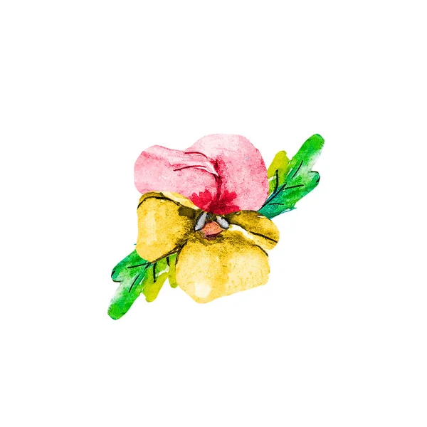흰색 배경에 고립 된 잎과 노란색 - 빨간색 팬지 꽃의 수채화 꽃다발. — 스톡 사진