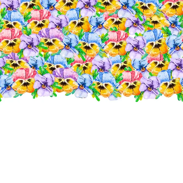 Der obere Blumenrand ist ein Rahmen über mehrfarbigen violetten Stiefmütterchen oder Herzkranzblumen, die dicht übereinander in einem Aquarellstil liegen. unten ist frei für Ihren Text. — Stockfoto