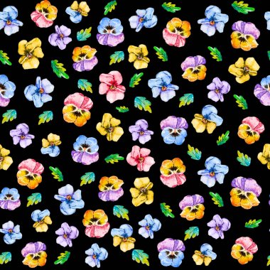 Siyah arka plan üzerinde çiçeklenme çok renkli menekşe pansies baş çiçekleri suluboya dikişsiz çiçek desen arka plan. Tekstil, kumaş, kapaklar, duvar kağıtları, baskı, şal için çiçek arka plan