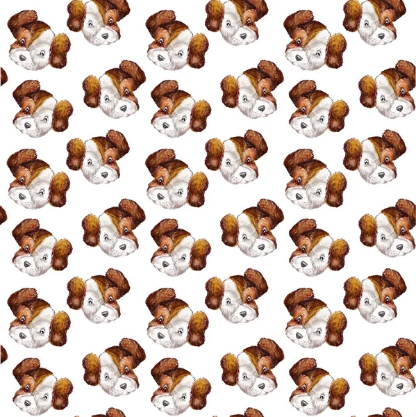Sarmalayıcılar, tekstil, duvar kağıdı ve tasarım için beyaz bir arka plan üzerinde kahverengi köpek jack russell terrier kafaları ile beyaz köpek portreler Dikişsiz köpek suluboya deseni