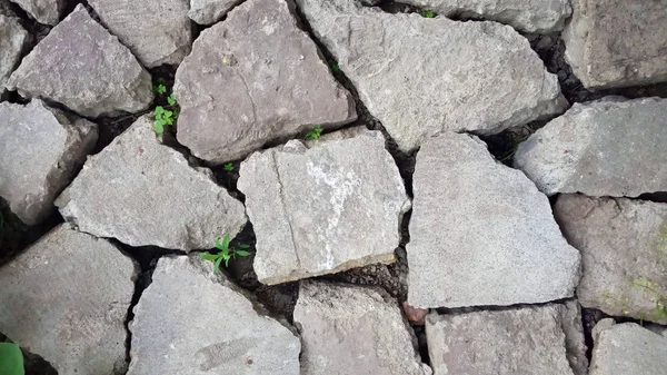 Gray, huge, flat, uneven stones, bricks lie on the ground without cementing. There is grass and deep cracks between rocks. For abstract textured background