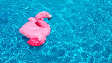 Havuzun yakınındaki bir yaz partisine davet için şablon. Şişme pembe flamingo berrak mavi masmavi suda yüzer. Metin için yerleştirin, kopya alanı. Bir poster, afiş veya el ilanı için oyuncak