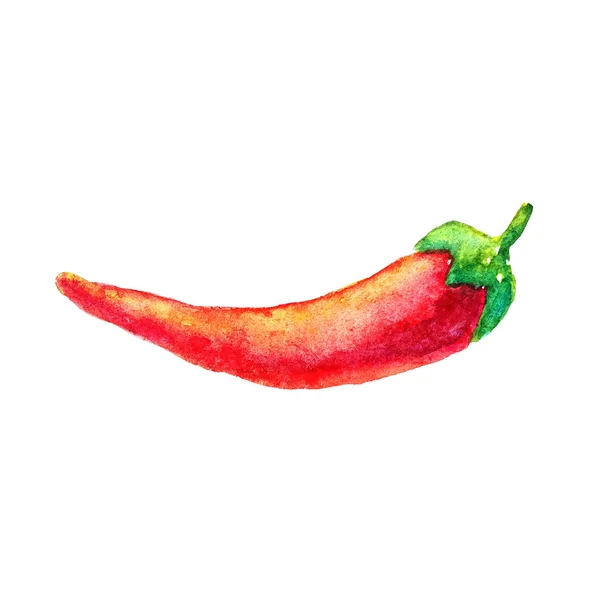 Aquarela pimenta vermelha madura isolada sobre fundo branco. Esboço de cayenne mexicano picante ardente. Conceito de alimentação saudável — Fotografia de Stock
